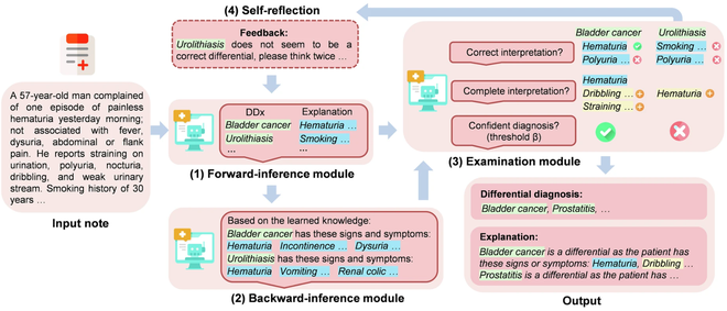 Explainable differential diagnosis with dual-inference large language models teaser